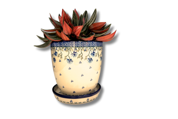 G45 Bunzlau bloempot 2415X Diversen G45 Bunzlau bloempot 2415X Diversen